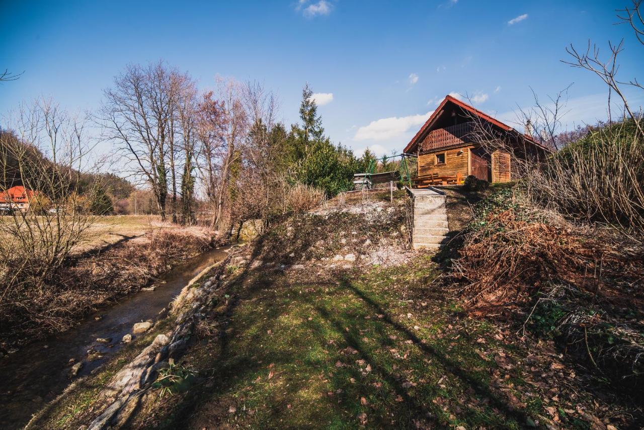 Wooden Cabin Zurej With Hot Tub Bukovje v Babni Gori Exterior foto